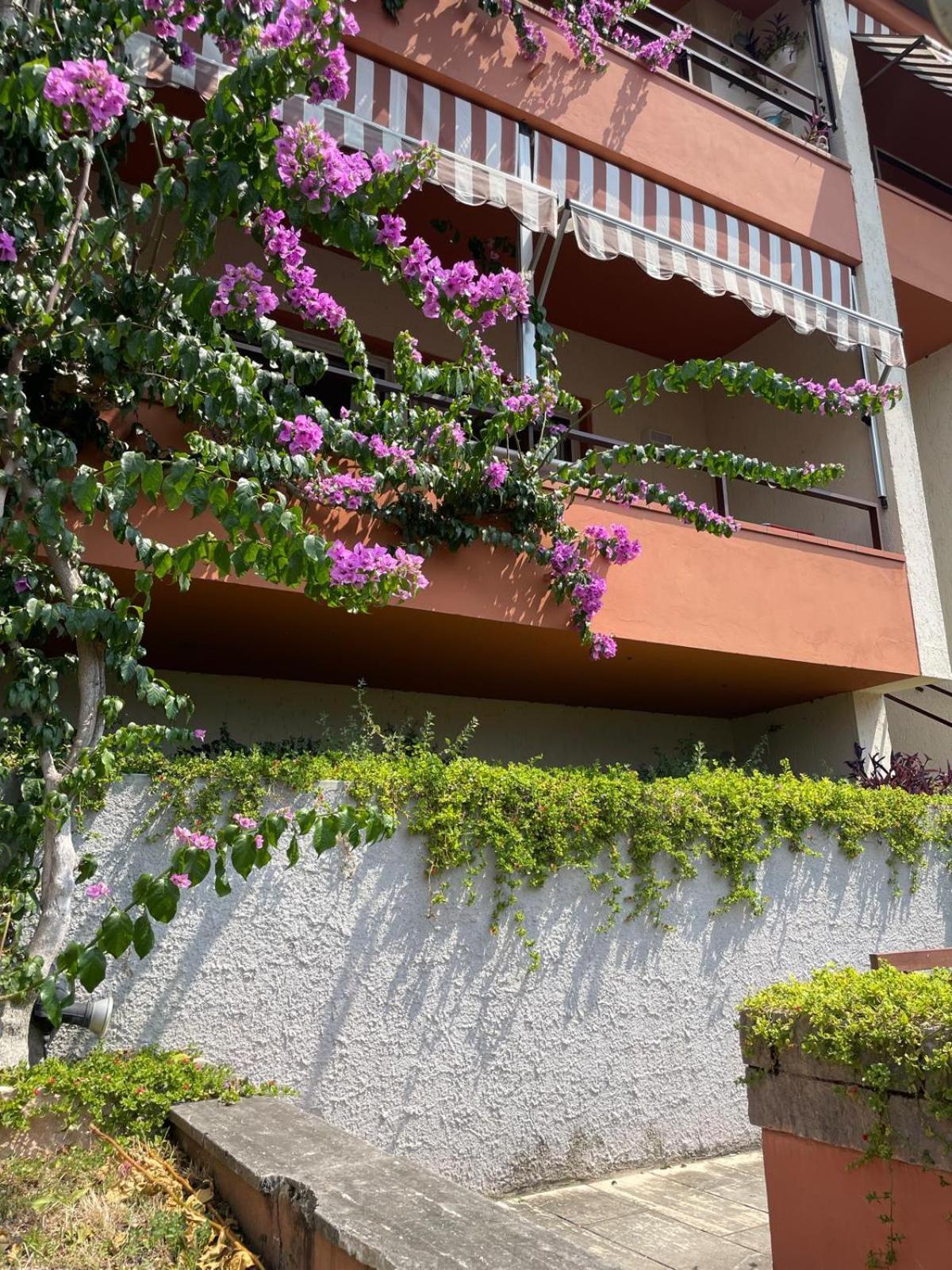Residence Kormorano Malcesine Extérieur photo